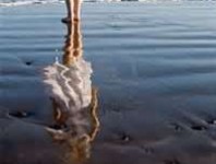 reflection